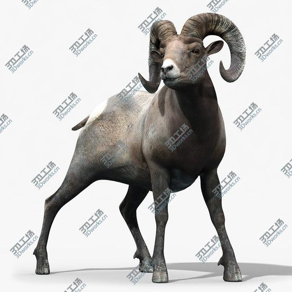 images/goods_img/20210312/Bighorn sheep(RIGGED)/1.jpg